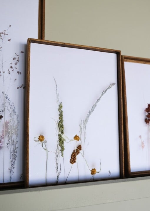Bloemen Borduurwerk - wilde grasen uit Zuid Afrika