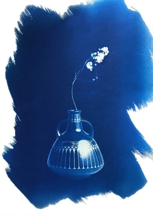 Cyanotype negatieven: vaasjes