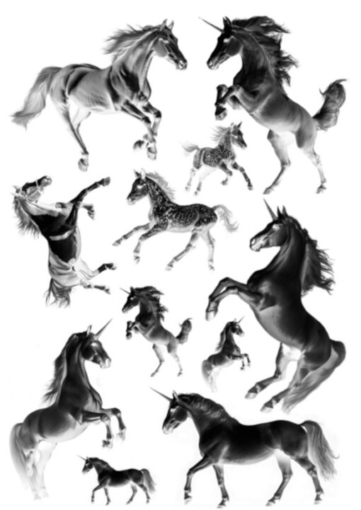 Cyanotype negatieven: paarden en eenhoorns