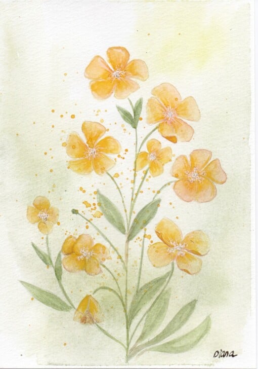 Mooie handgmaakte aquarel kaart