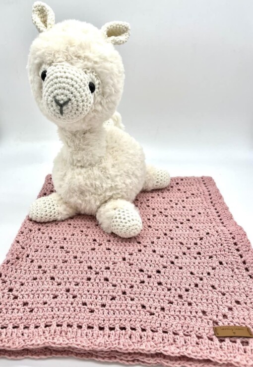 Babydekentje roze wiebertje