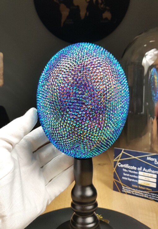Echte struisvogel ei met swarovski kristal en 23ct verguld - opgezet onder acryl dome - gelimiteerde editie