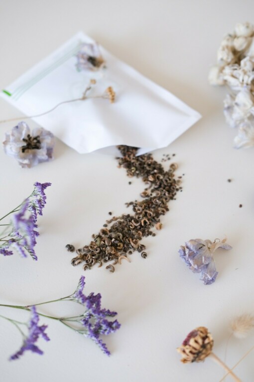Botanic Flowers Zomer Bloemen Zaden Mix