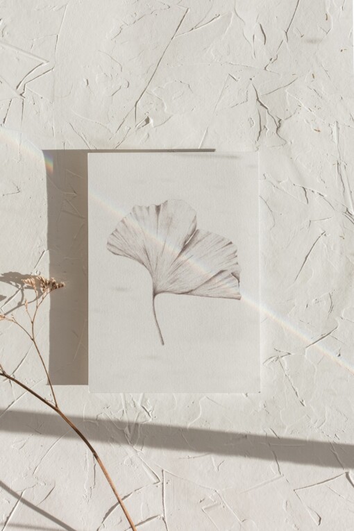 Kunstkaart Botanische Inkttekening A5 Set van 3 Art Print