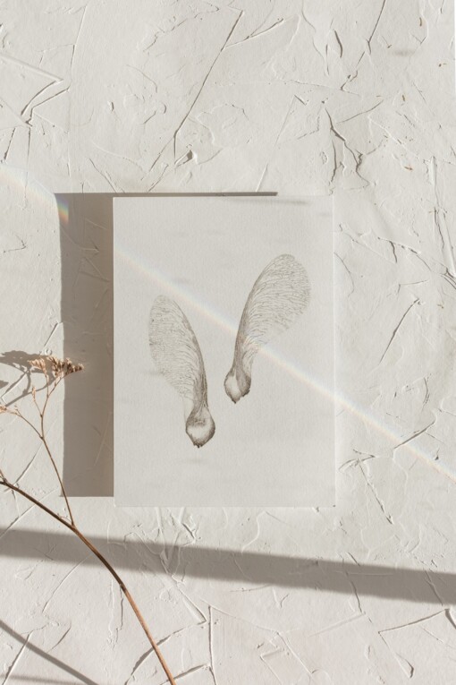 Kunstkaart Botanische Inkttekening A5 Set van 3 Art Print