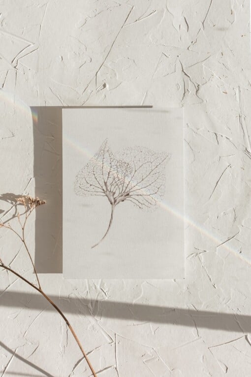 Kunstkaart Botanische Inkttekening A5 Set van 3 Art Print