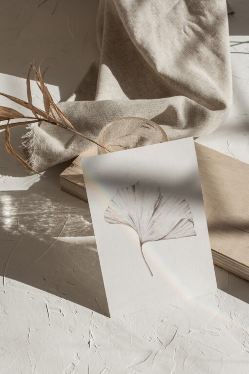 Kunstkaart Botanische Inkttekening A5 Set van 3 Art Print