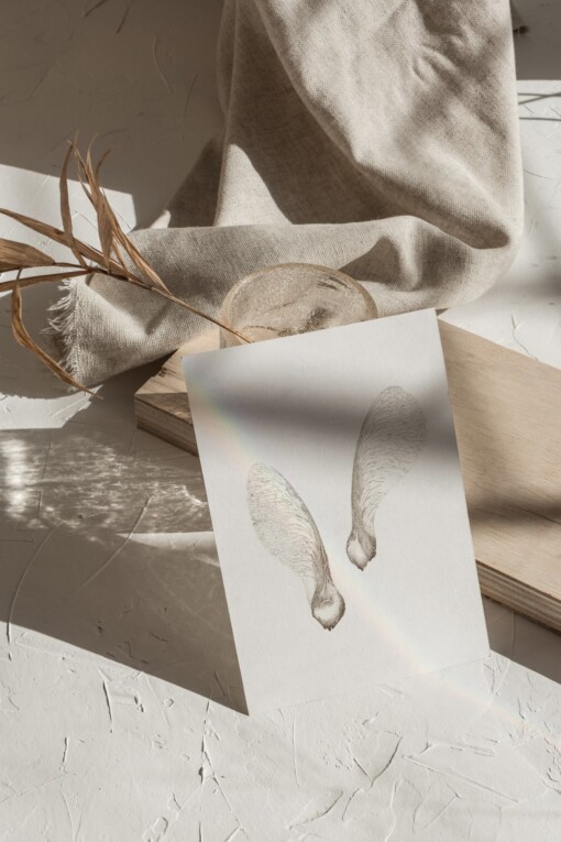 Kunstkaart Botanische Inkttekening A5 Set van 3 Art Print