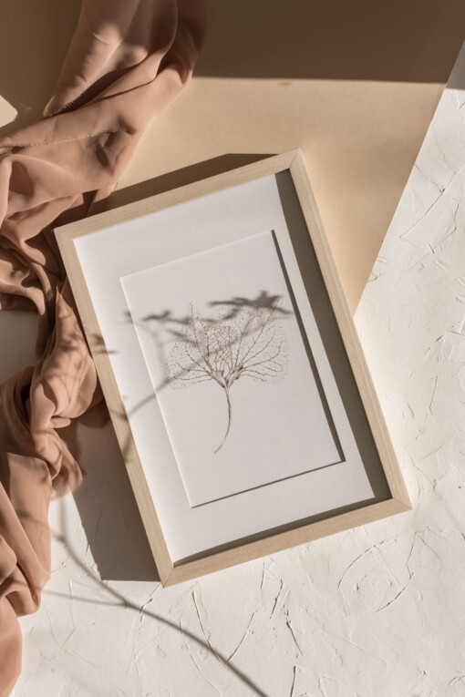 Kunstkaart Botanische Inkttekening A5 Set van 3 Art Print