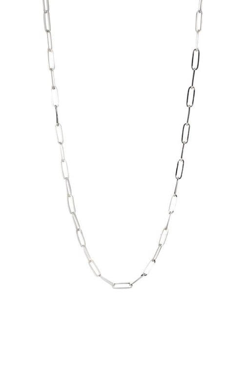 Silver Necklace Long Link