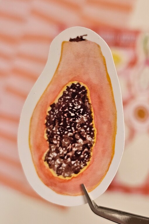 Stickervel fruit – 10 vrolijke vinyl stickers (10x15 cm) - Anna-Mae Studio