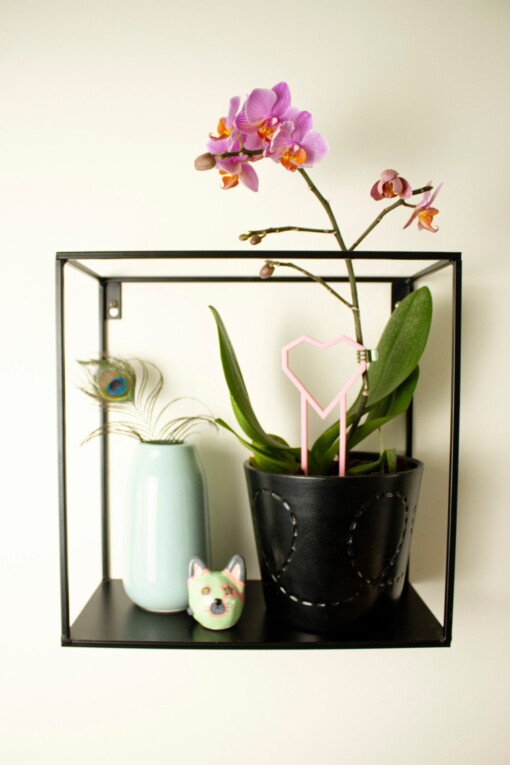 Hart decoratieve plantensteun