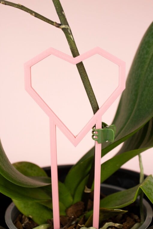 Hart decoratieve plantensteun