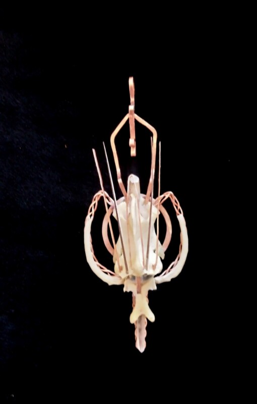 Ketting Lemurisch kristal