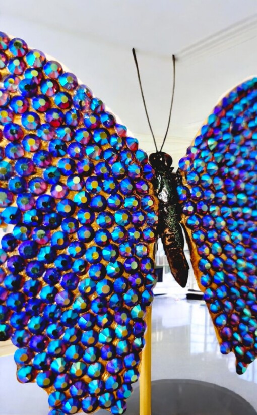 Echte papilio vlinder met Swarovski kristal 23ct verguld en opgezet onder dome - gelimiteerde editie