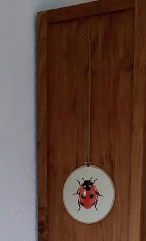 Handgeborduurd lieveheersbeestje, wat staat voor geluk. Leuk als kado, of voor aan jouw eigen muur