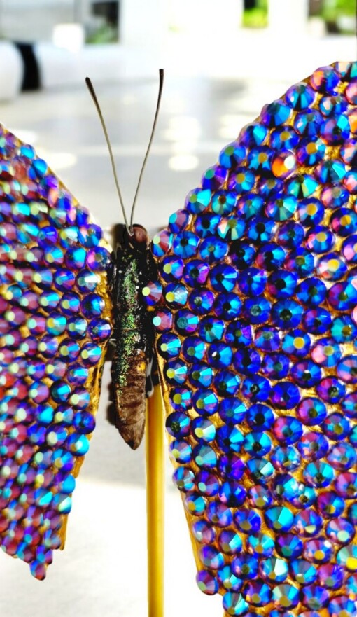 Echte papilio vlinder met Swarovski kristal 23ct verguld en opgezet onder dome - gelimiteerde editie