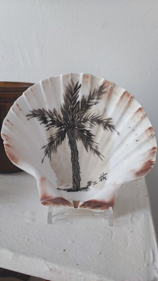 Palm op schelp