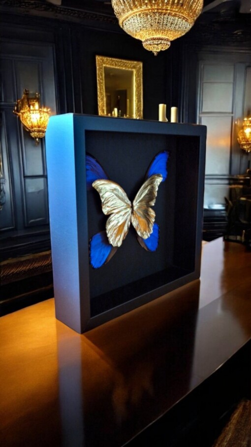 Echte morpho vlinders, opgezet en verguld met 23ct goud - taxidermie kunstwerk in lijst