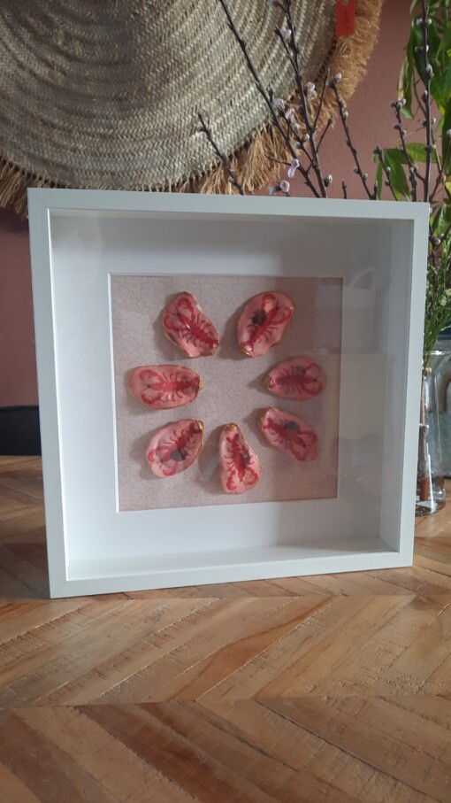 Oesterkunst | Roze kreeft