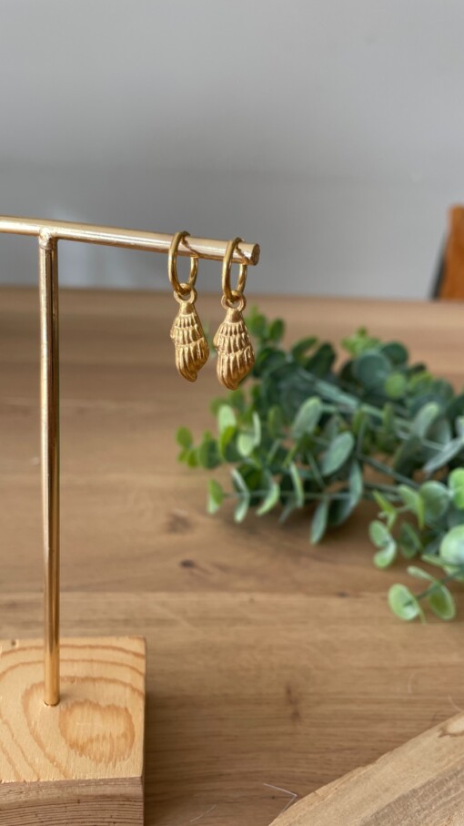 Oorbellen gouden schelp