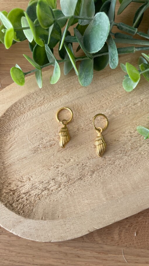 Oorbellen gouden schelp