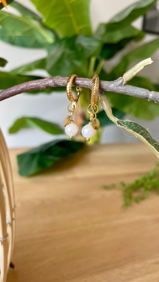 Parel oorbellen met gouden details