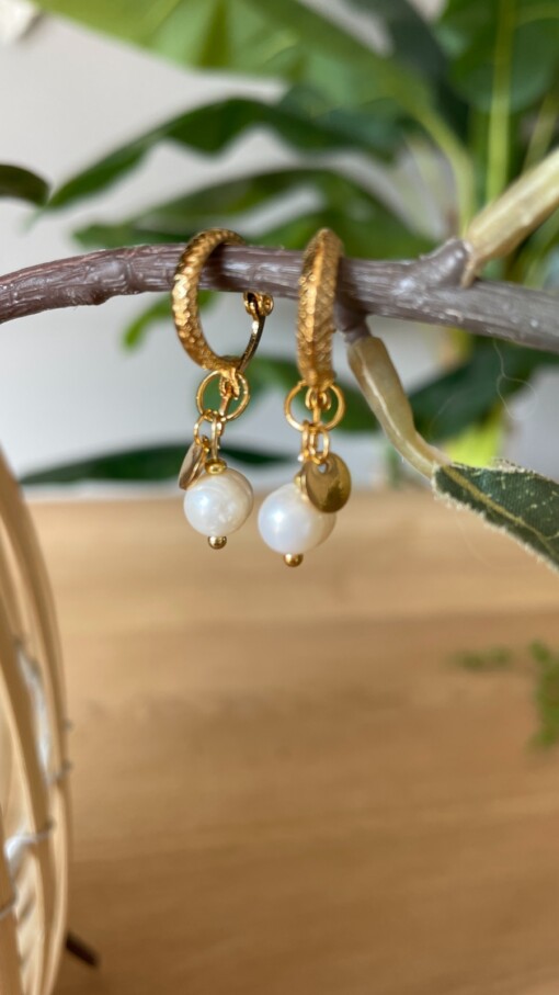 Parel oorbellen met gouden details