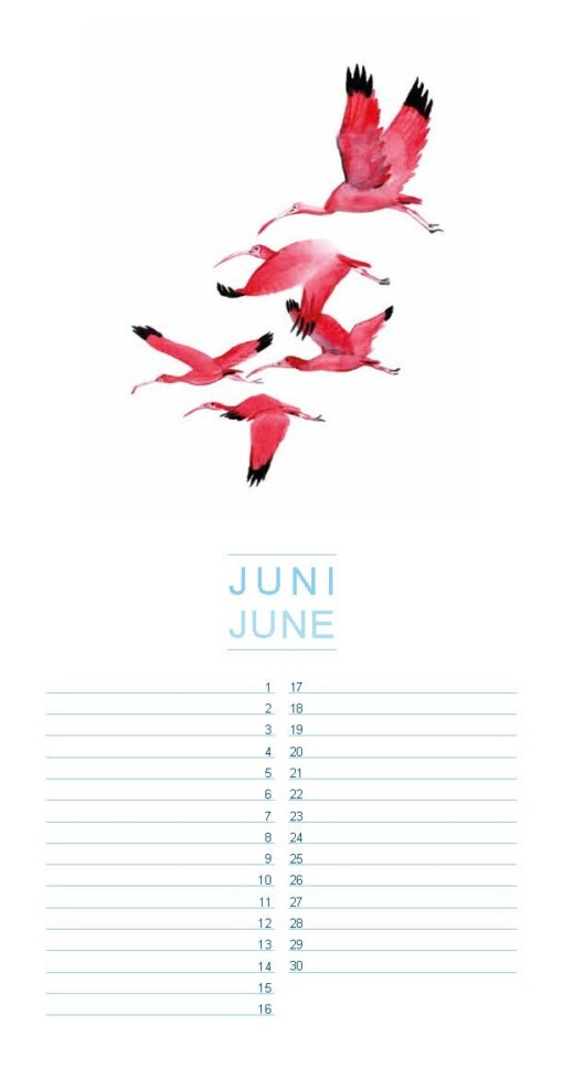 Verjaardagskalender