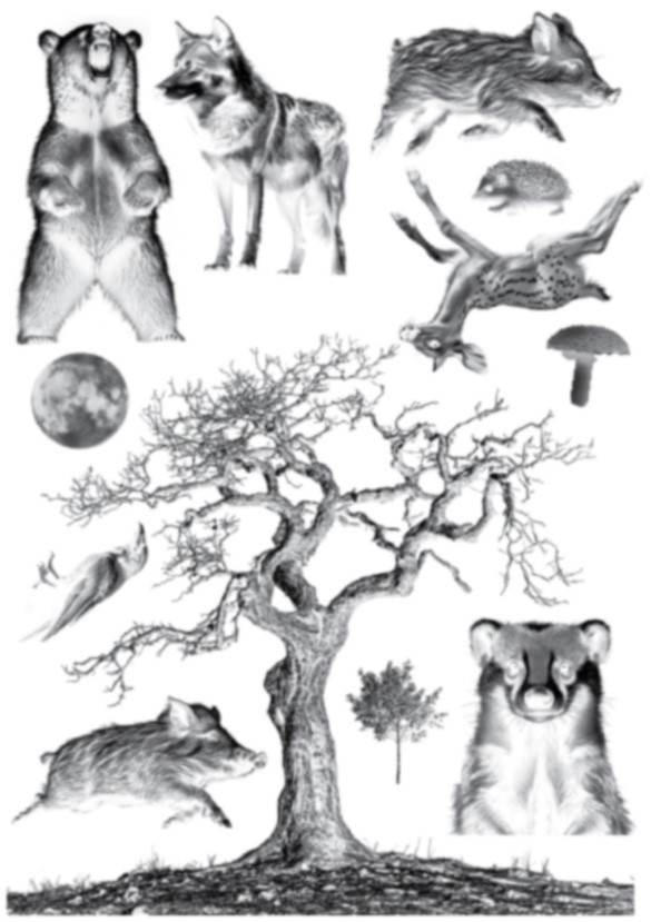 Cyanotype negatieven: set bomen - 100164 Cyanotype negatieven: set bomen