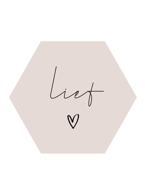 Forex muurcirkel Hexagon – Lief - 102884 Forex muurcirkel Hexagon – Lief