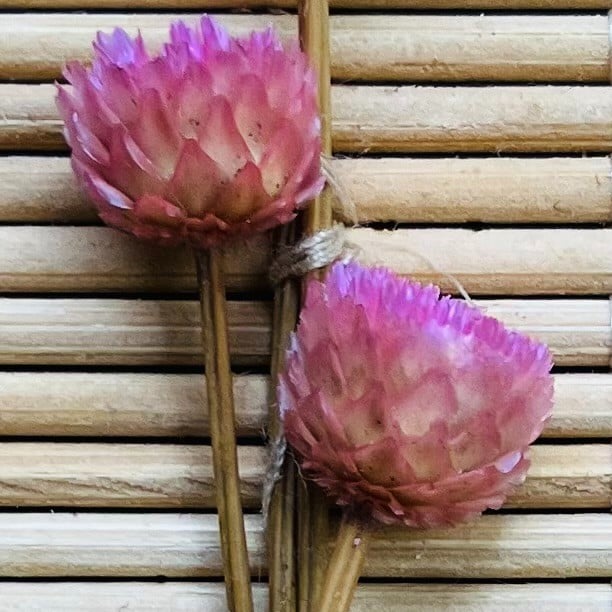 Bamboe Wandhanger met gedroogde bloemen - Botanische Bamboe Kunst - Boho Natuurlijk - Geperste Bloemen