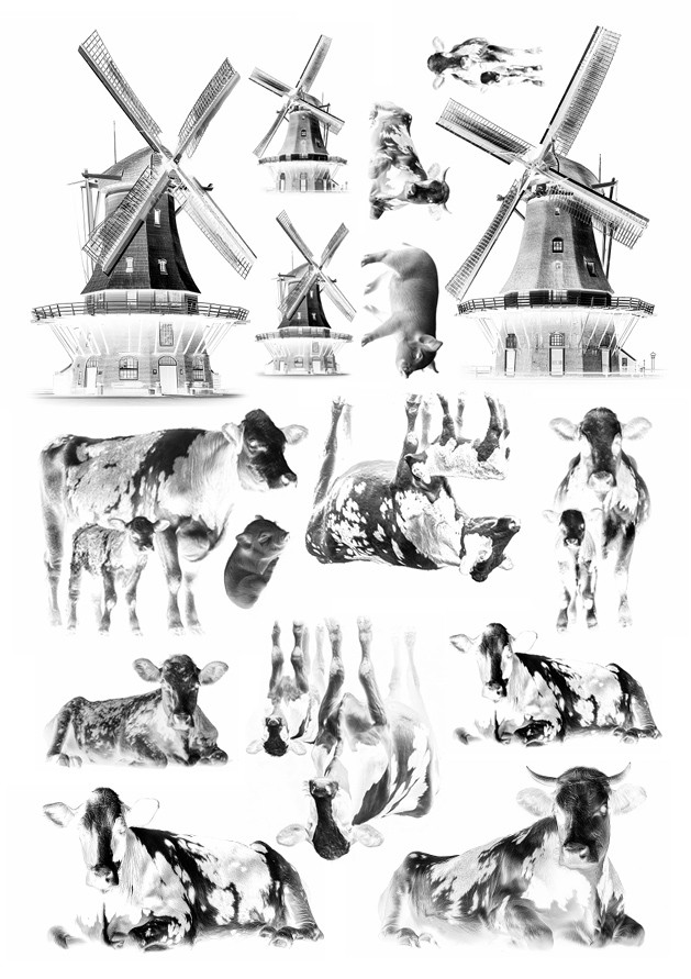 Cyanotype negatieven: Nederland