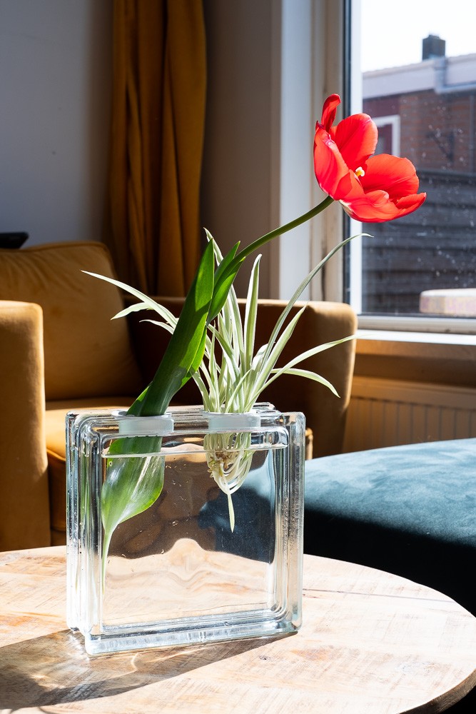 Glazen Blok Vaas – Moderne Decoratie – Strakke Design Vaas voor Bloemen – Minimalistische Bloemenvase – cadeau idee