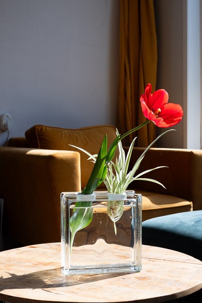 Glazen Blok Vaas – Moderne Decoratie – Strakke Design Vaas voor Bloemen – Minimalistische Bloemenvase – cadeau idee