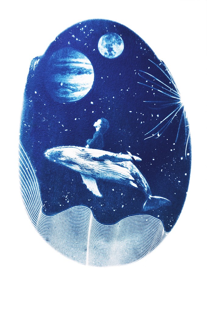 Cyanotype negatieven: onderwaterwezens