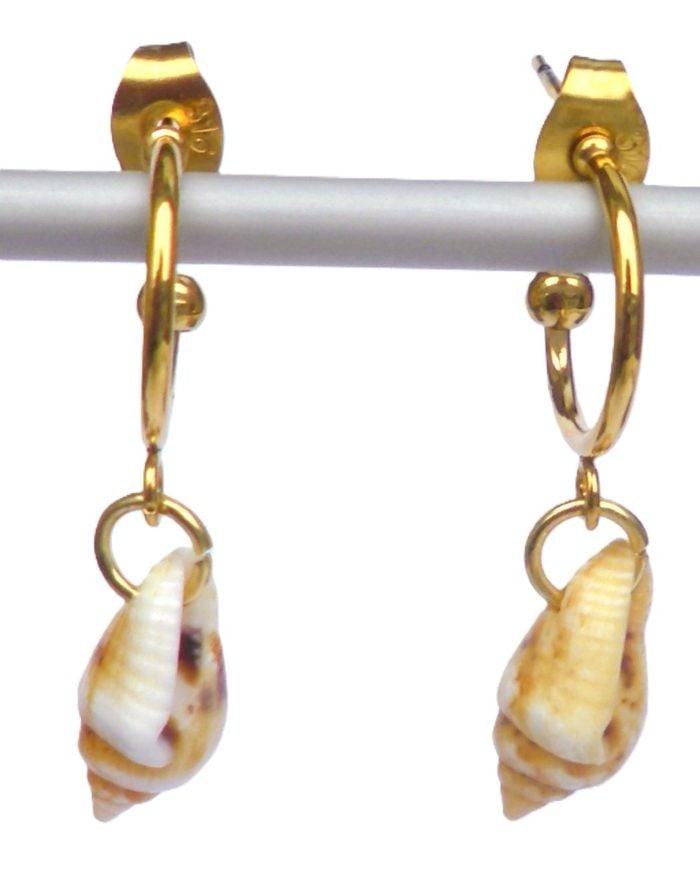 Oorbellen met schelphangers. Goudkleurige oorsteker, creool met schel… - 134826 Oorbellen met schelphangers. Goudkleurige oorsteker, creool met schelp, in beige écru, in bruin wit, goudkleurige creolen, Per Elle sieraden