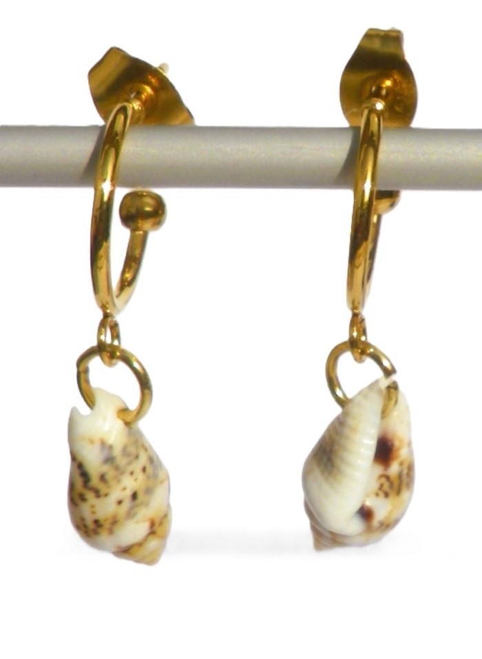 Oorbellen met schelphangers. Goudkleurige oorsteker, creool met schel… - 134827 Oorbellen met schelphangers. Goudkleurige oorsteker, creool met schelp, in beige écru, in bruin wit, goudkleurige creolen, Per Elle sieraden