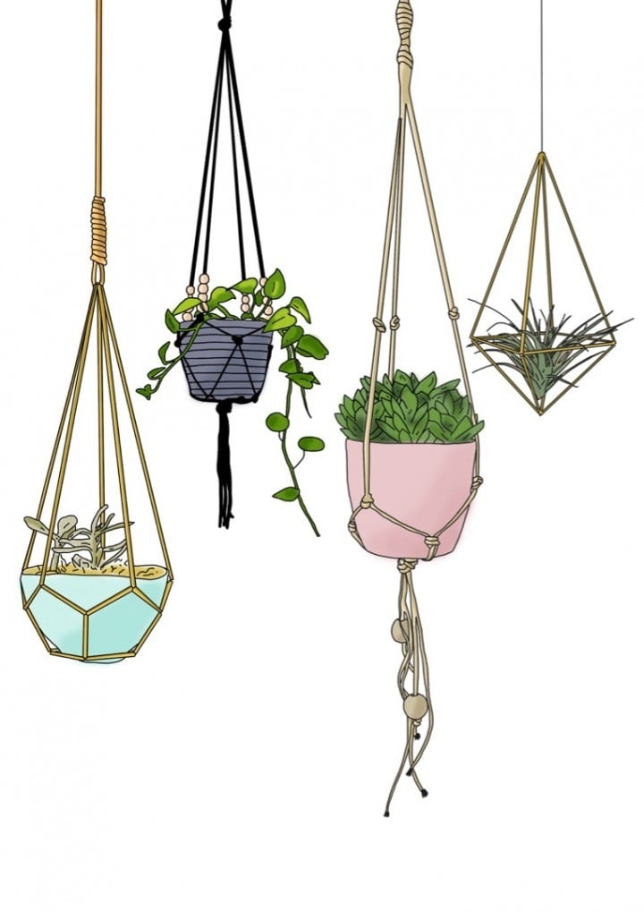 Hanging Beauties – botanische poster met hangplanten - 139393 Hanging Beauties – botanische poster met hangplanten
