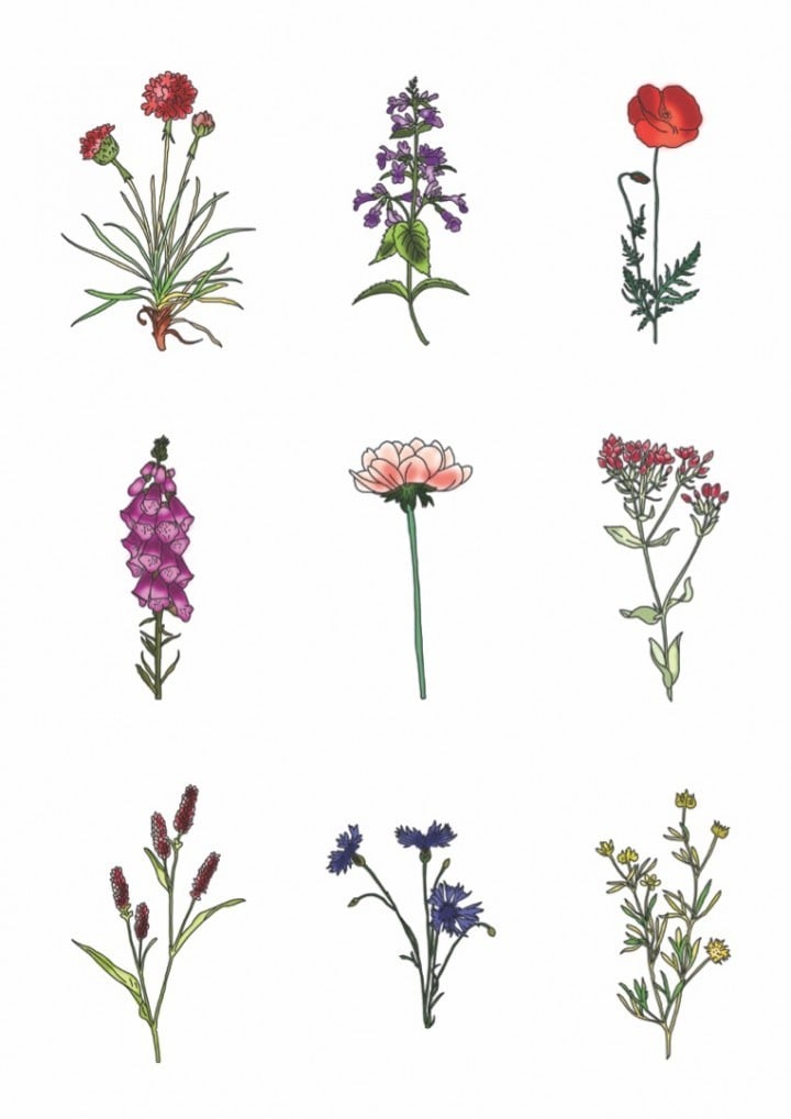 Spring Flowers – kleurrijke bloemen poster - 139398 Spring Flowers – kleurrijke bloemen poster