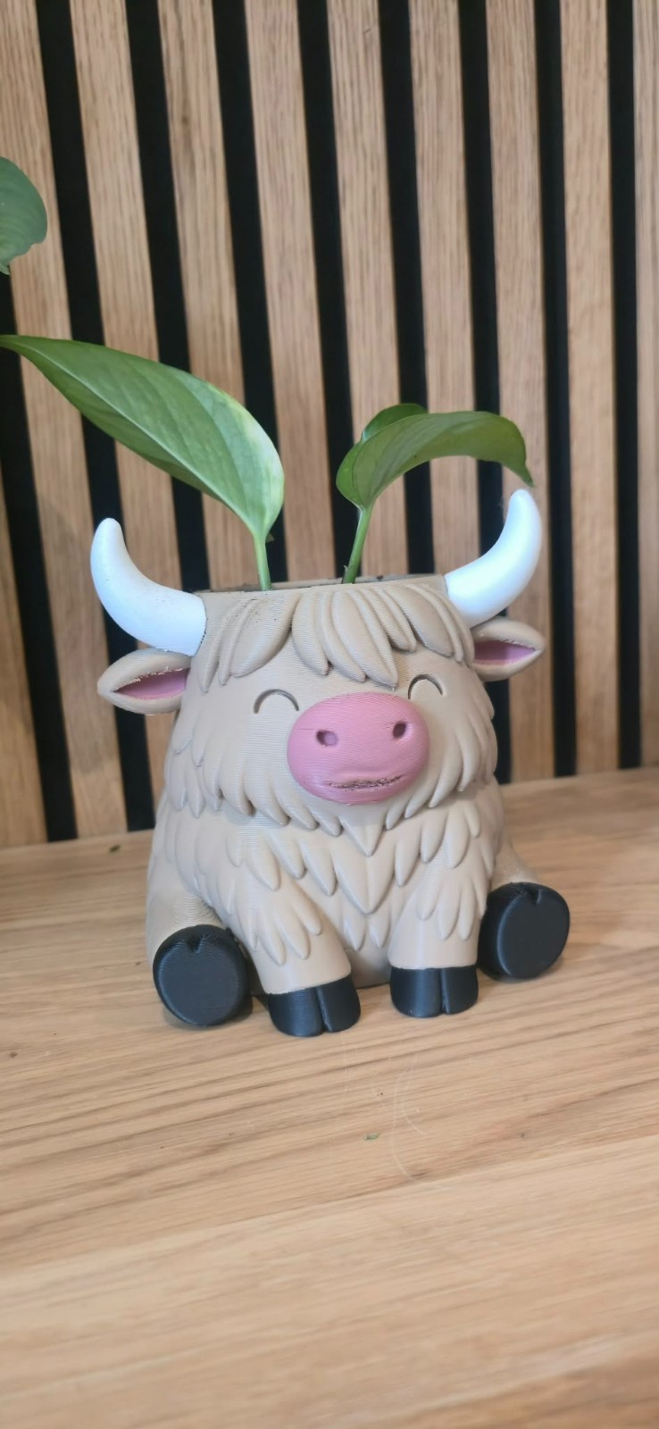 Highland Cow Bloempot