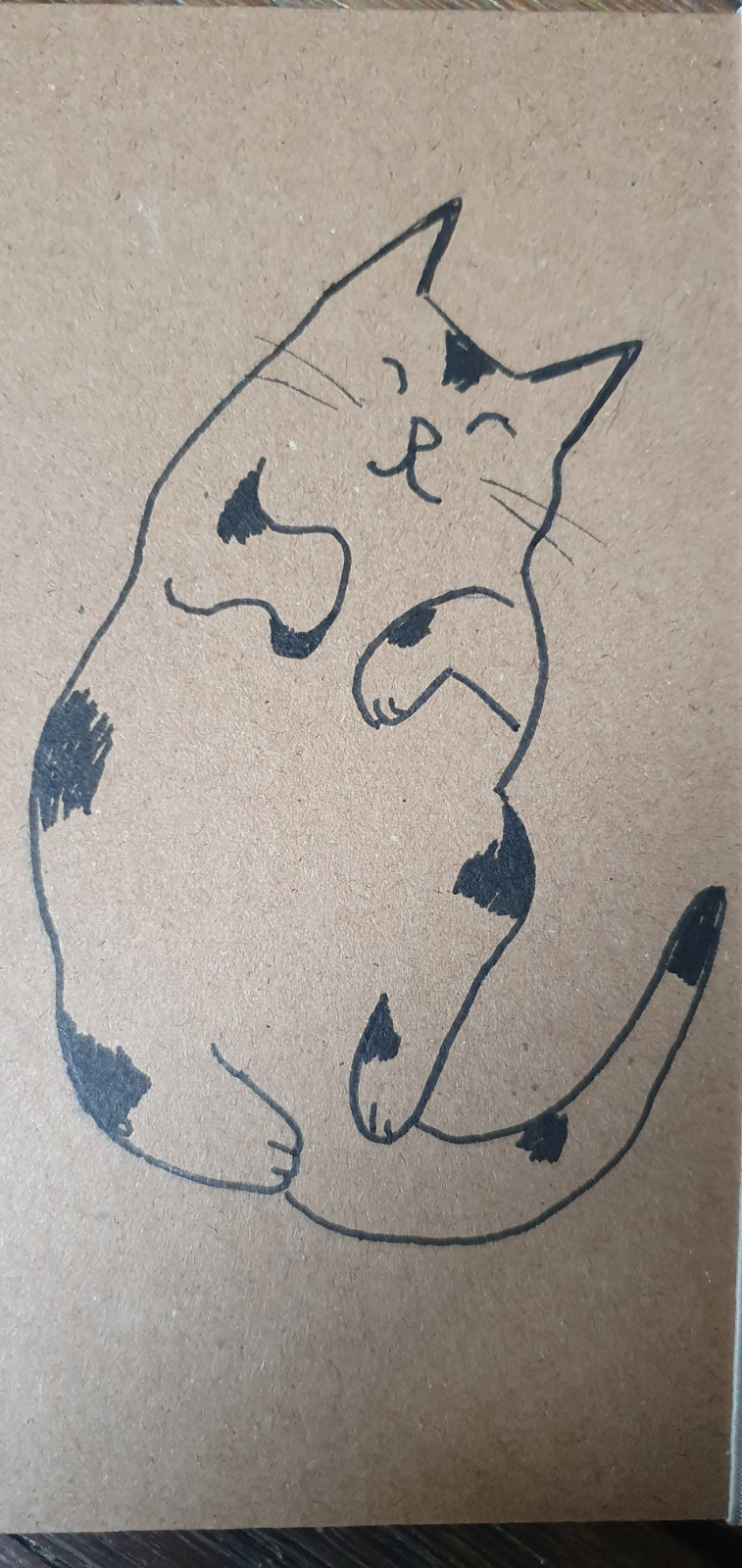 dagboek met kat op zijn rug, gelinieerd, met originele kattentekenin… - 108929 dagboek met kat op zijn rug, gelinieerd, met originele kattentekening (geen print), opschrijfboekje