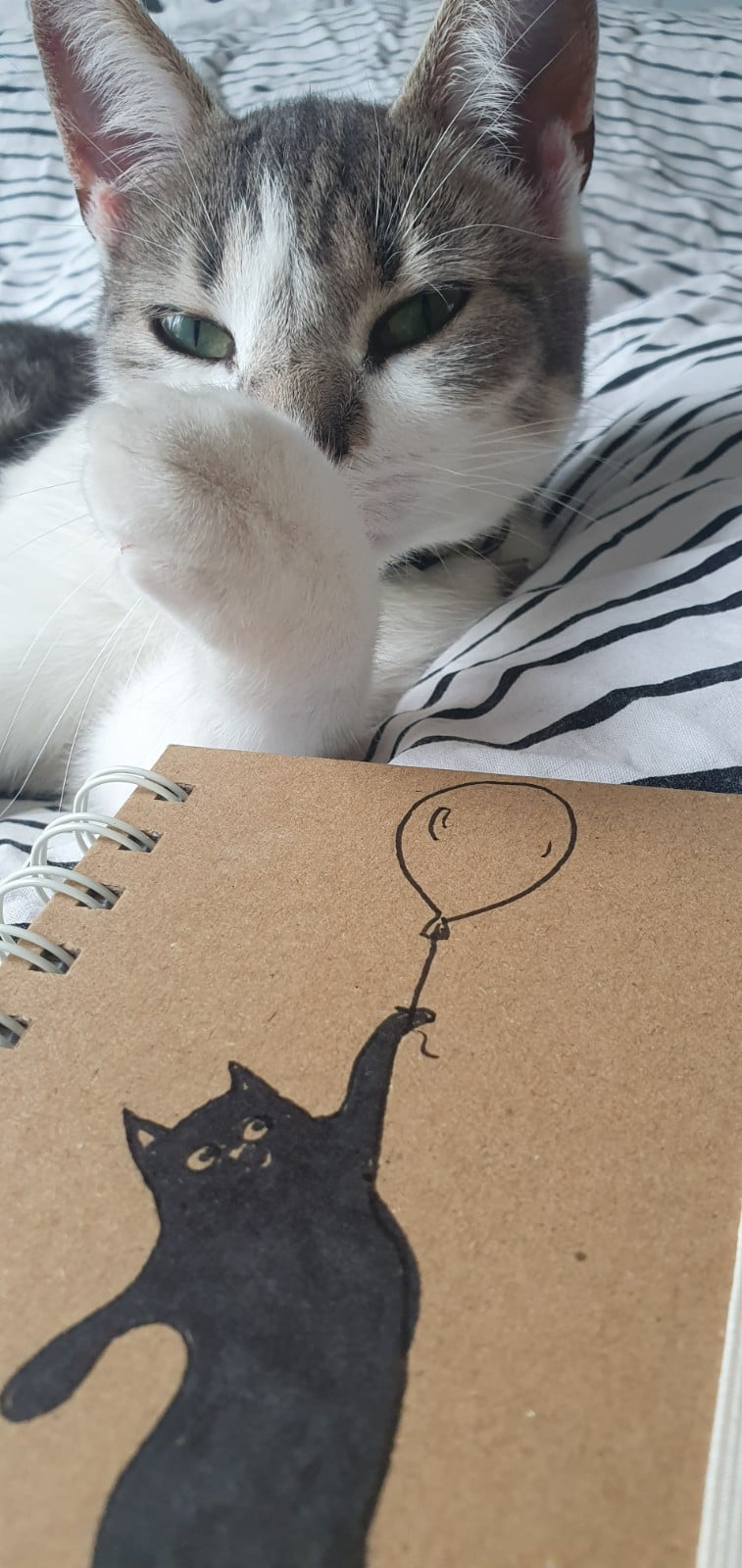 handgemaakt dagboek notitieboekje kat aan ballon gelinieerd, met originele kattentekening (geen print)