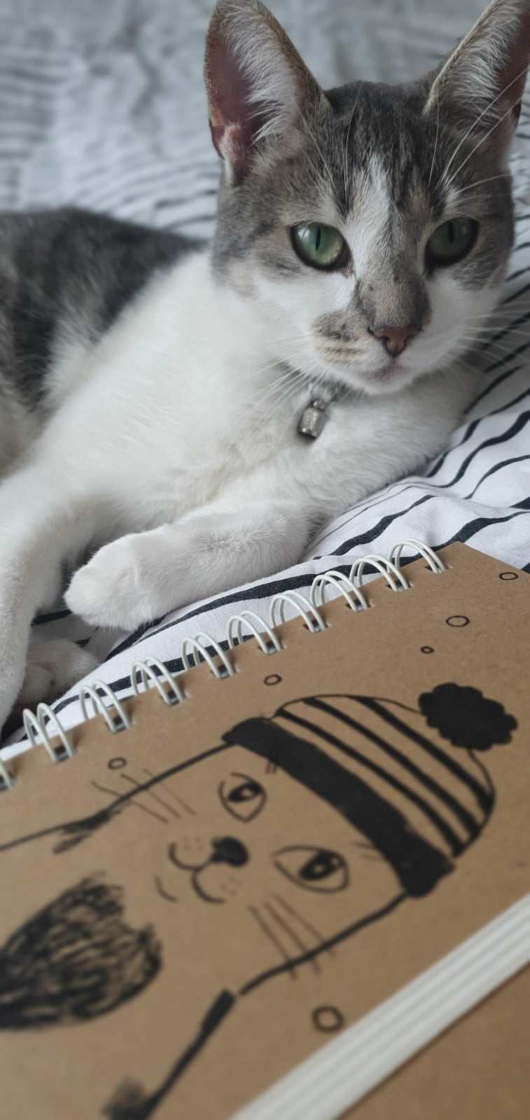 handgemaakt dagboek notitieboekje, kat met muts, met originele katten… - 108987 handgemaakt dagboek notitieboekje, kat met muts, met originele kattentekening (geen print)