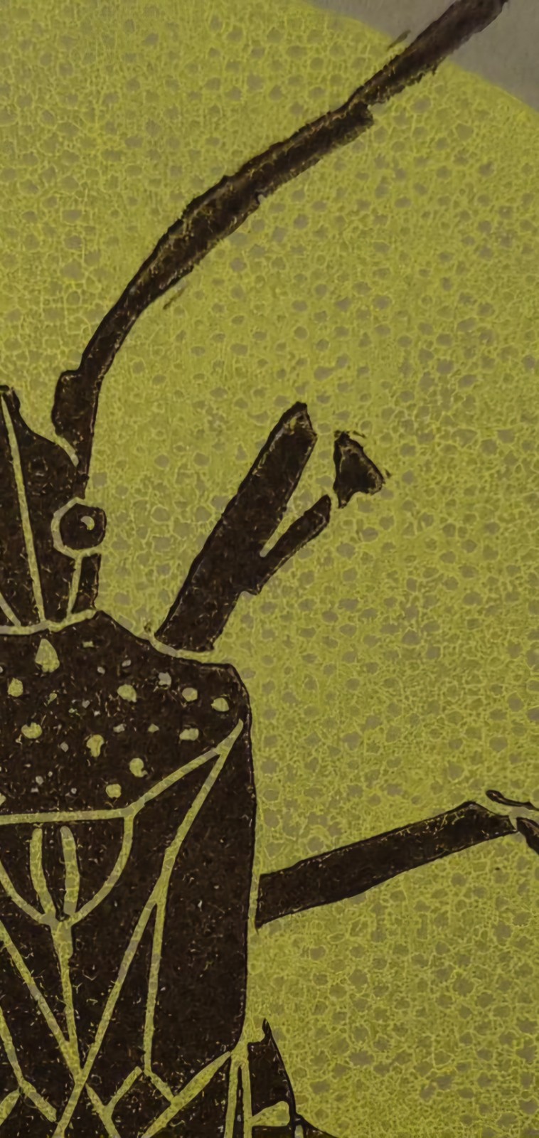 Linoprint ‘Boktor’ – gesigneerde A5 insectenkaart in zwart en neon geel op grijs papier