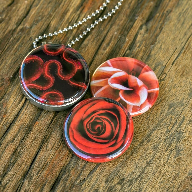 Roestvrij stalen fotomedaillon ketting met drie verschillende verwisselbare voorkanten met close up foto`s in Diep donker rood,zalm en warm rood. Rvs/roesvrij stalen fotomedaillon. Voor het dicht bij je dragen van je favoriete foto.