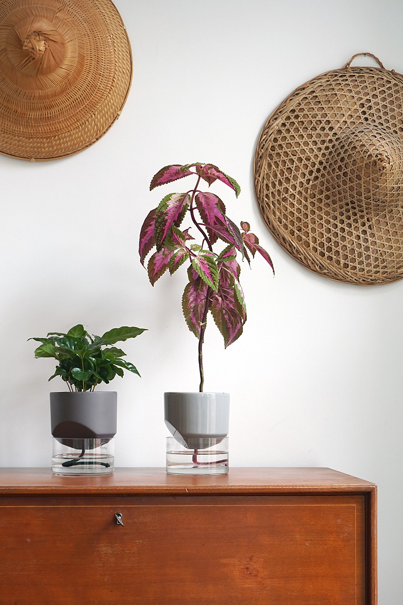 Kapi growing set: Small + Big flowerpot | Sleek gray