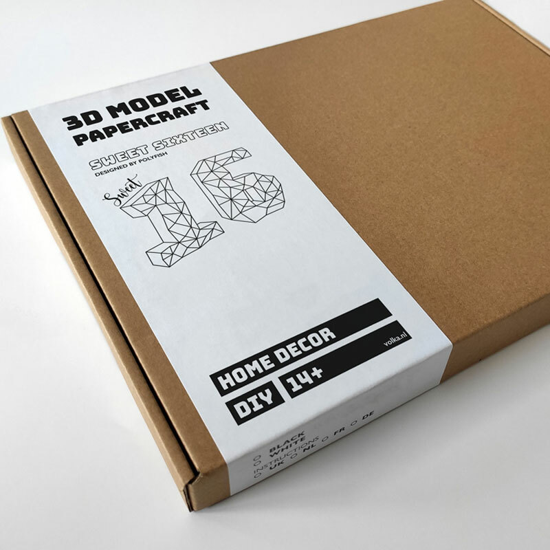 DIY pakket Sweet 16 – compleet knutselpakket met snijmat, liniaal, vouwbeen, mesje