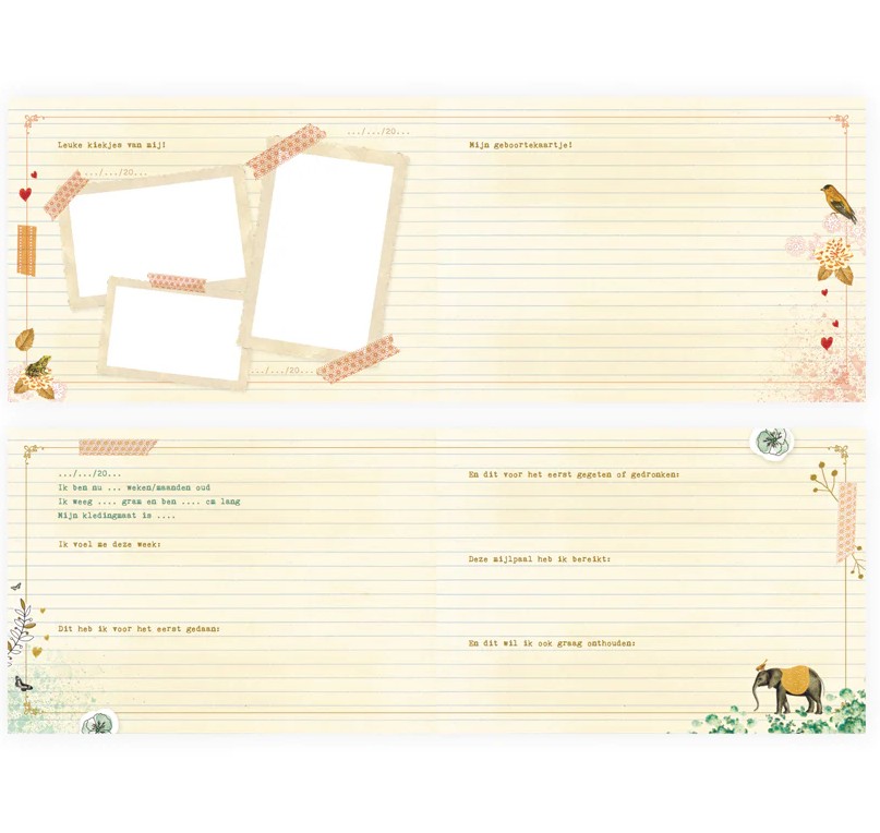 Pimpelmees Baby's eerste dagboek - 136230 Pimpelmees Baby's eerste dagboek