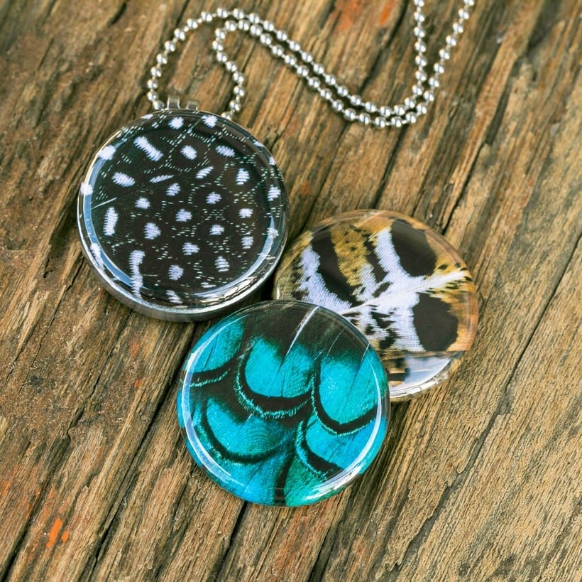 Stalen Fotomedaillon ketting met 3 verschillende verwisselbare voorkanten met close up foto`s van veren /veertjes in prachtige tinten. Voor het dicht bij je dragen van je favoriete foto.